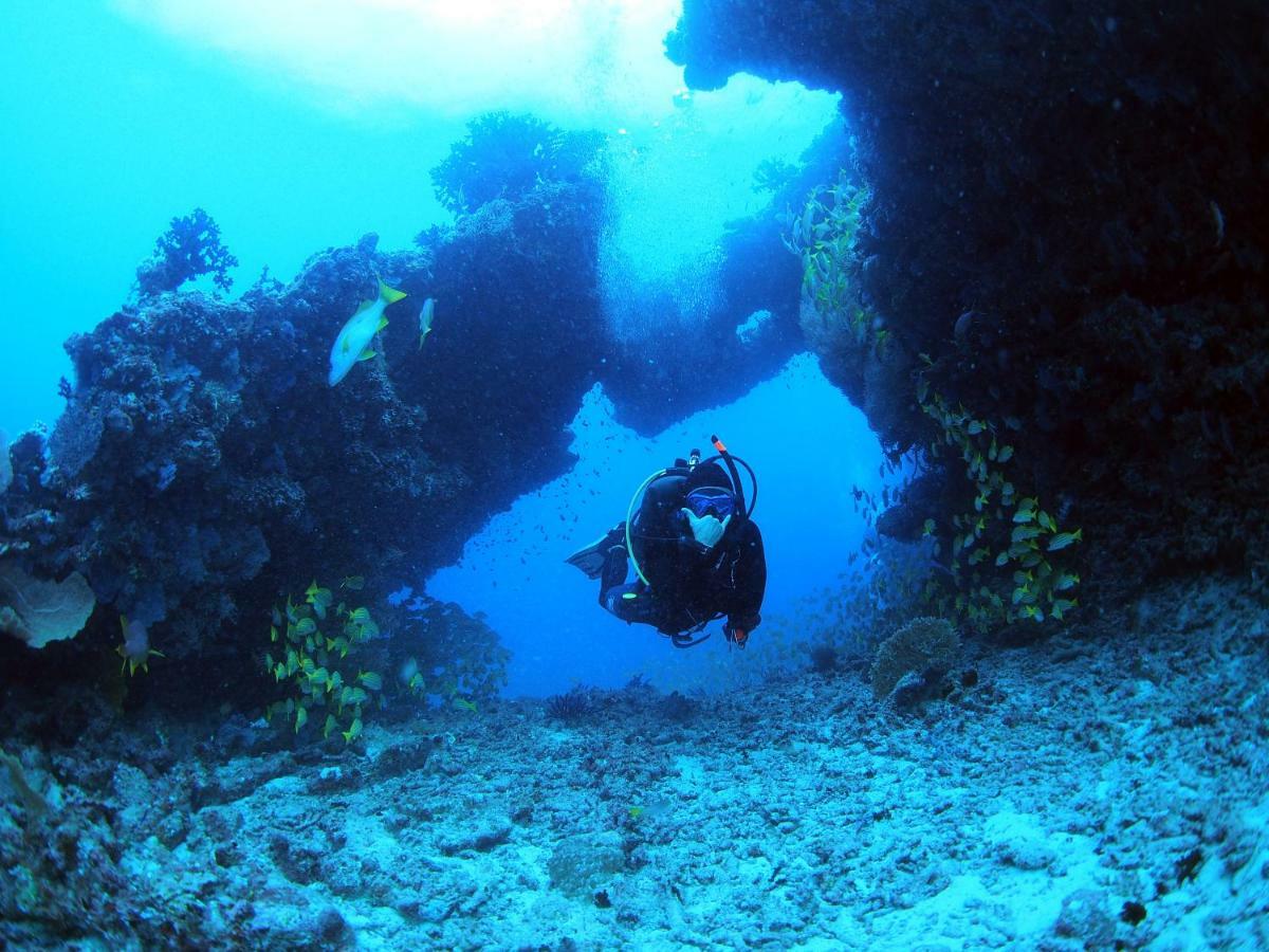 Affittacamere White Dhigurah 3*