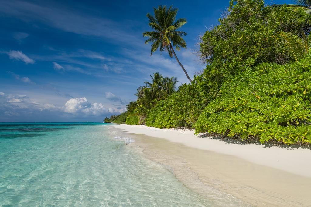 Guest house White Dhigurah 3*